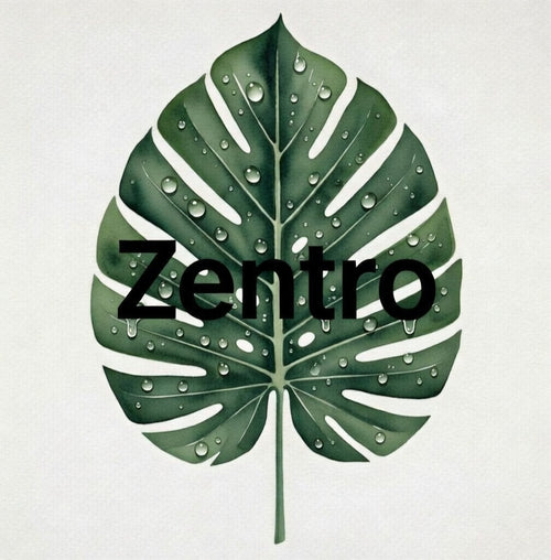 Zentro